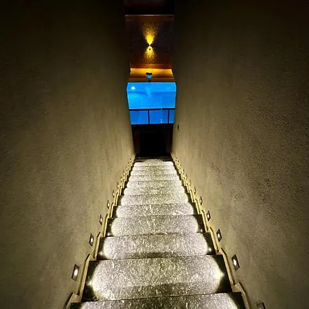 Leo Premium 쿠사다시