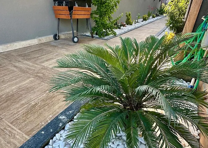 公寓 Leo Premium 库萨达斯